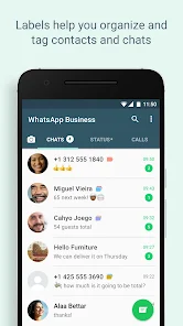 WhatsApp Business